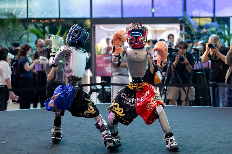 Robots at the park — choreography, mirroring and everyday services